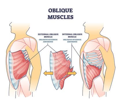 Can you spell oblique???